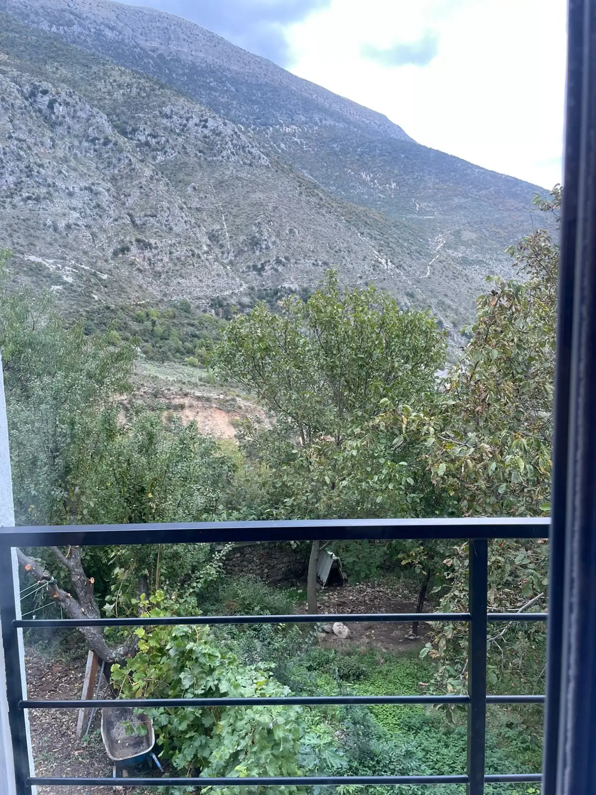 img_id_636207.08.43 (3).webp